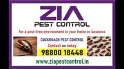 Cockroach pest control | Zia Pest Control Best Price 